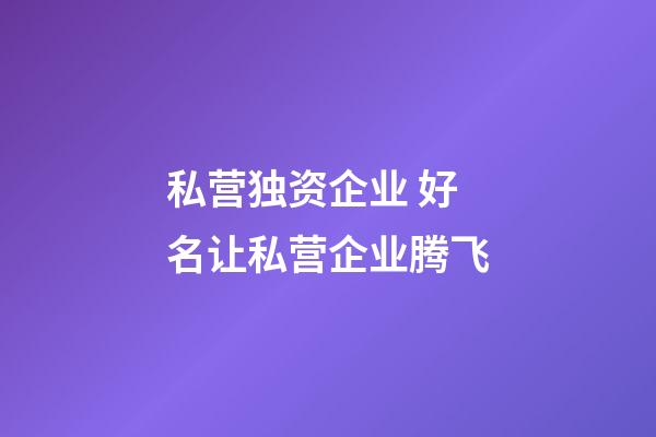 私营独资企业 好名让私营企业腾飞-第1张-公司起名-玄机派